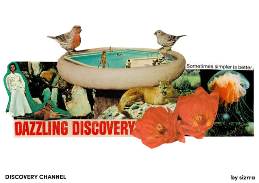 Discovery Channel Print